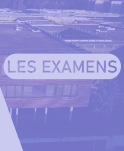 Lire la suite à propos de l’article 7. Préparer les examens