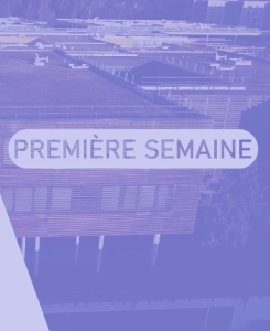 Lire la suite à propos de l’article 3. Que faire la première semaine ?