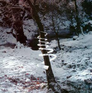 Andy Goldsworthy, Icicle Spiral (Treesoul) , 1985, Dumfriesshire, Scotland