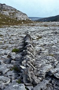 Richard Long, A Line In Ireland (1974)