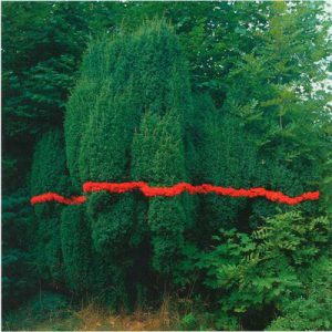 Nils Udo, Tilleuls, Sorbes (1999), Aix-la-Chapelle