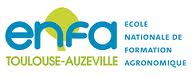 Logo ENFA