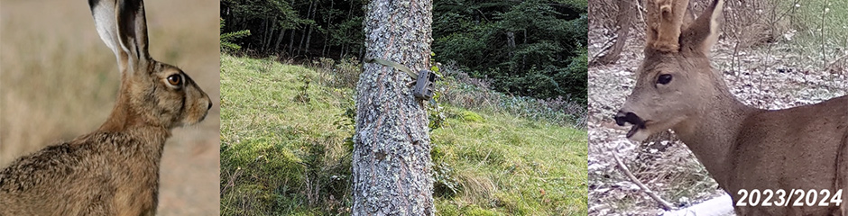 Education à la biodiversité