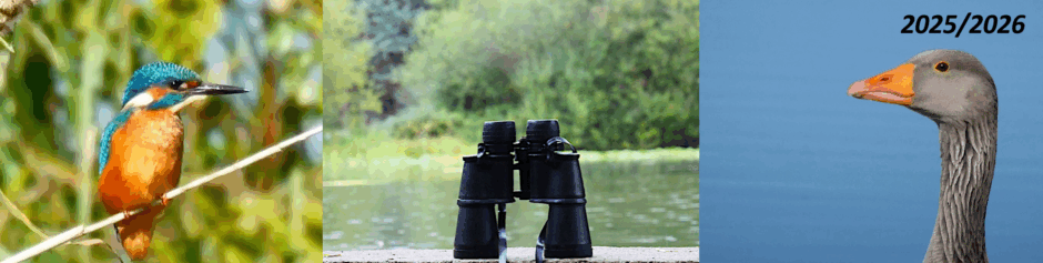 Education à la biodiversité