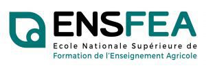 Logo ENSFEA