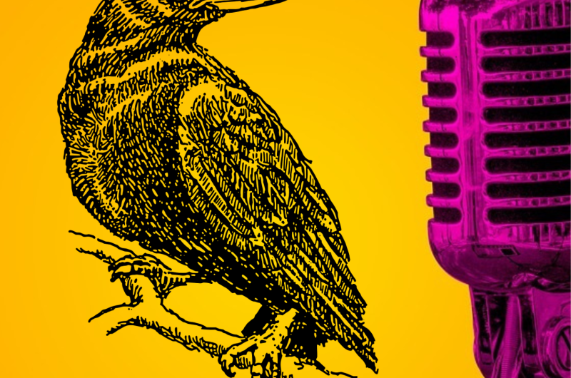 Vignette représentant un corbeau et un micro pour l'atelier Dramaphonies 2023 Autour de la pièce de théâtre Pinkson de Caren Jeß