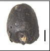 Caryopse carbonisé de blé nu (Triticum aestivum/durum/turgidum). 1mm. Cliché Ch. Hallavant