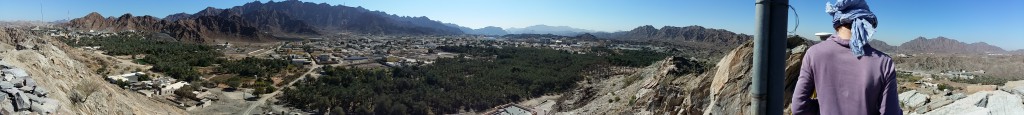 Oasis de Masafi (Photographie Carine Calastrenc)